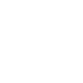 Animated icon representing vision